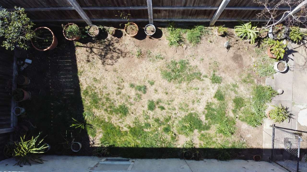Small backyard layout with sunlight mapping for fruit tree planning