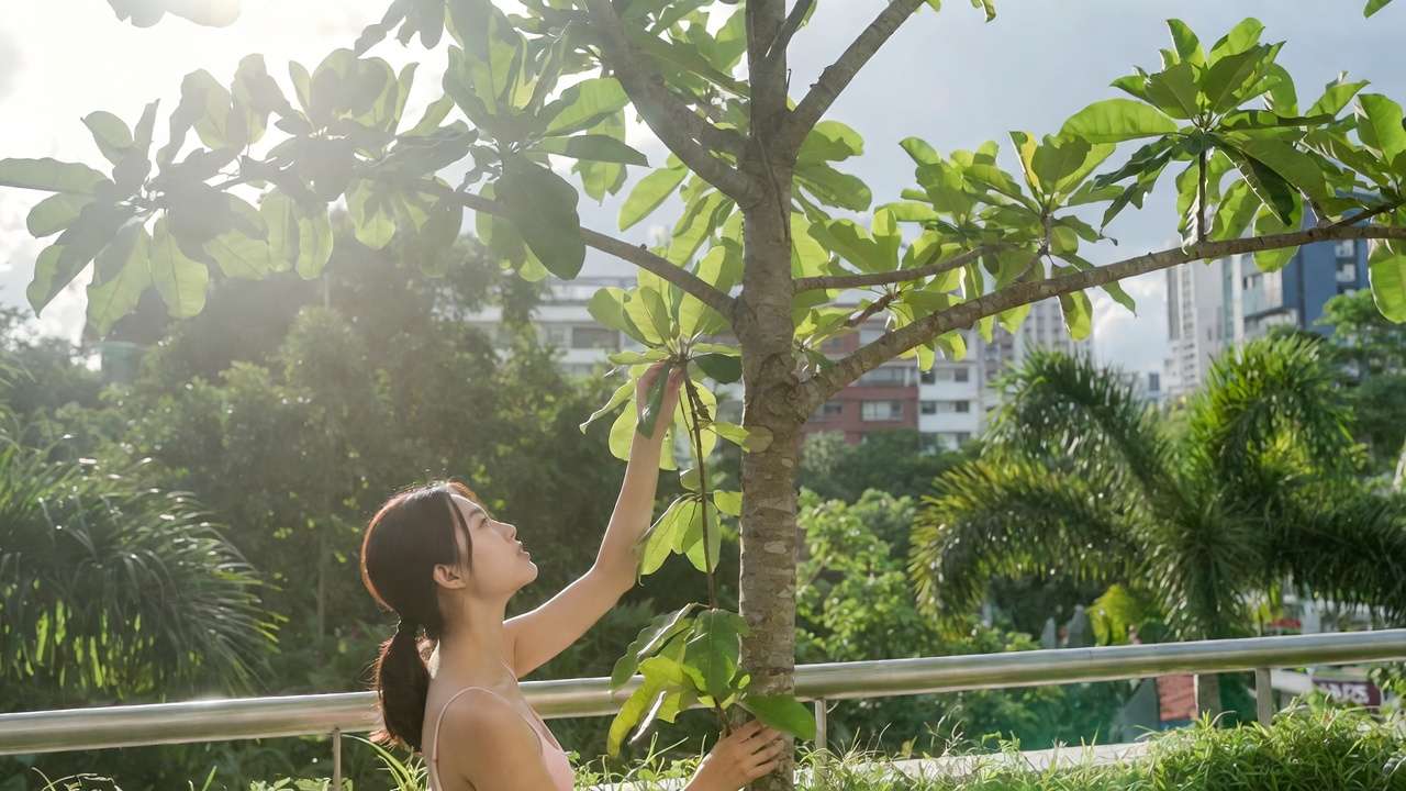 Person connecting with nature by caring for an outdoor tree on a balcony, highlighting biophilia's restorative effects.
