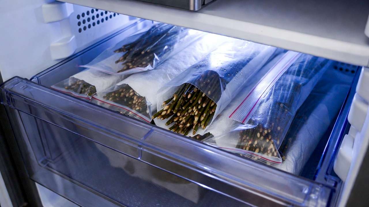 Scion wood bundles properly stored in fridge crisper with damp paper towel and zip bag