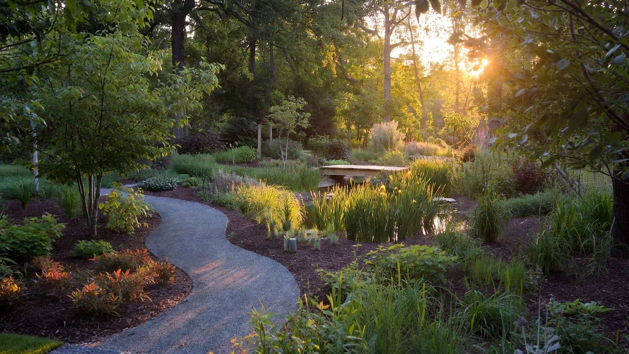 Real example of sustainable native plant landscaping with rain garden and low-maintenance eco yard