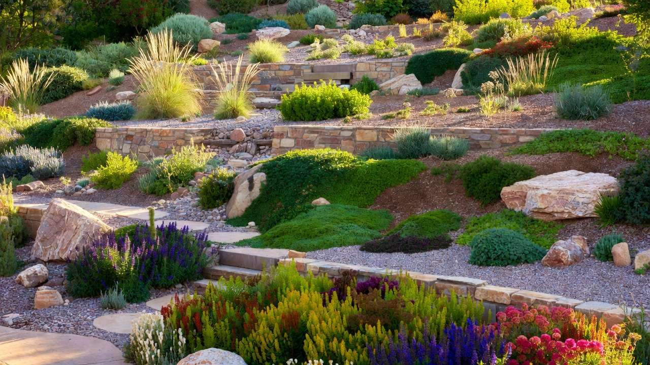 Low-maintenance xeriscape plants including sedum, creeping juniper, and yarrow stabilizing a sloped yard