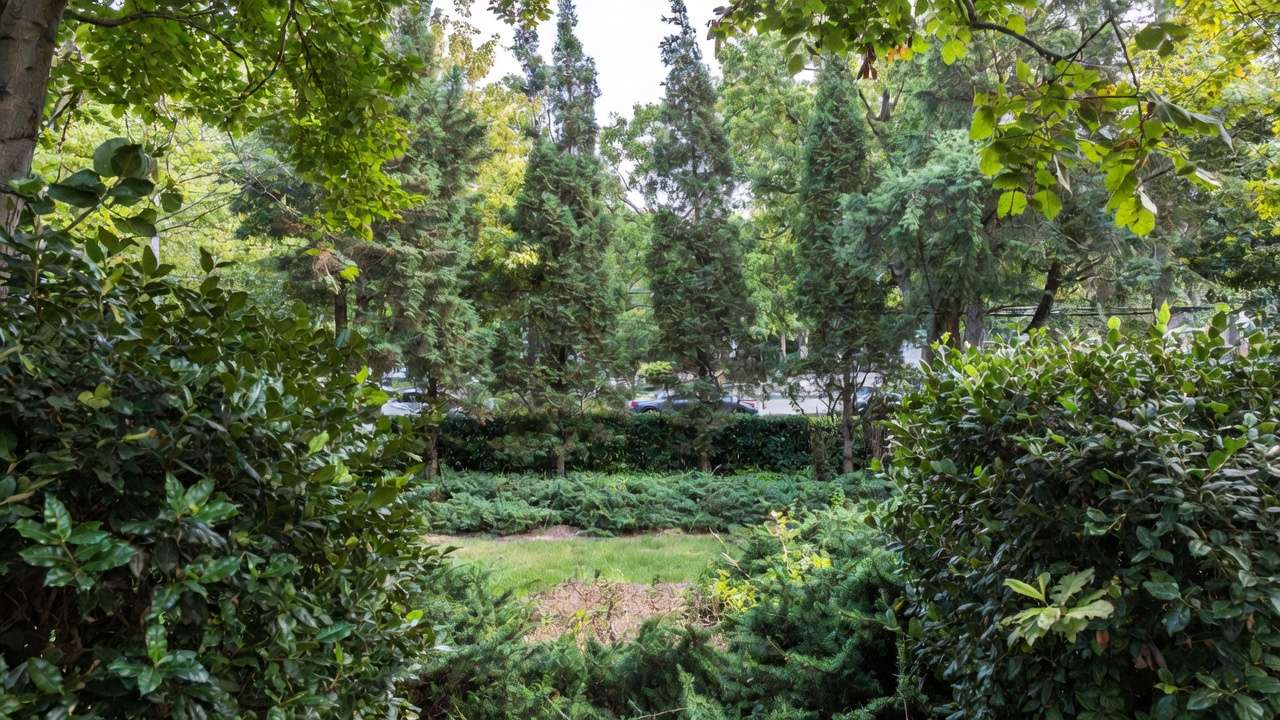 Step-by-Step Design Strategies for Your Urban Spac