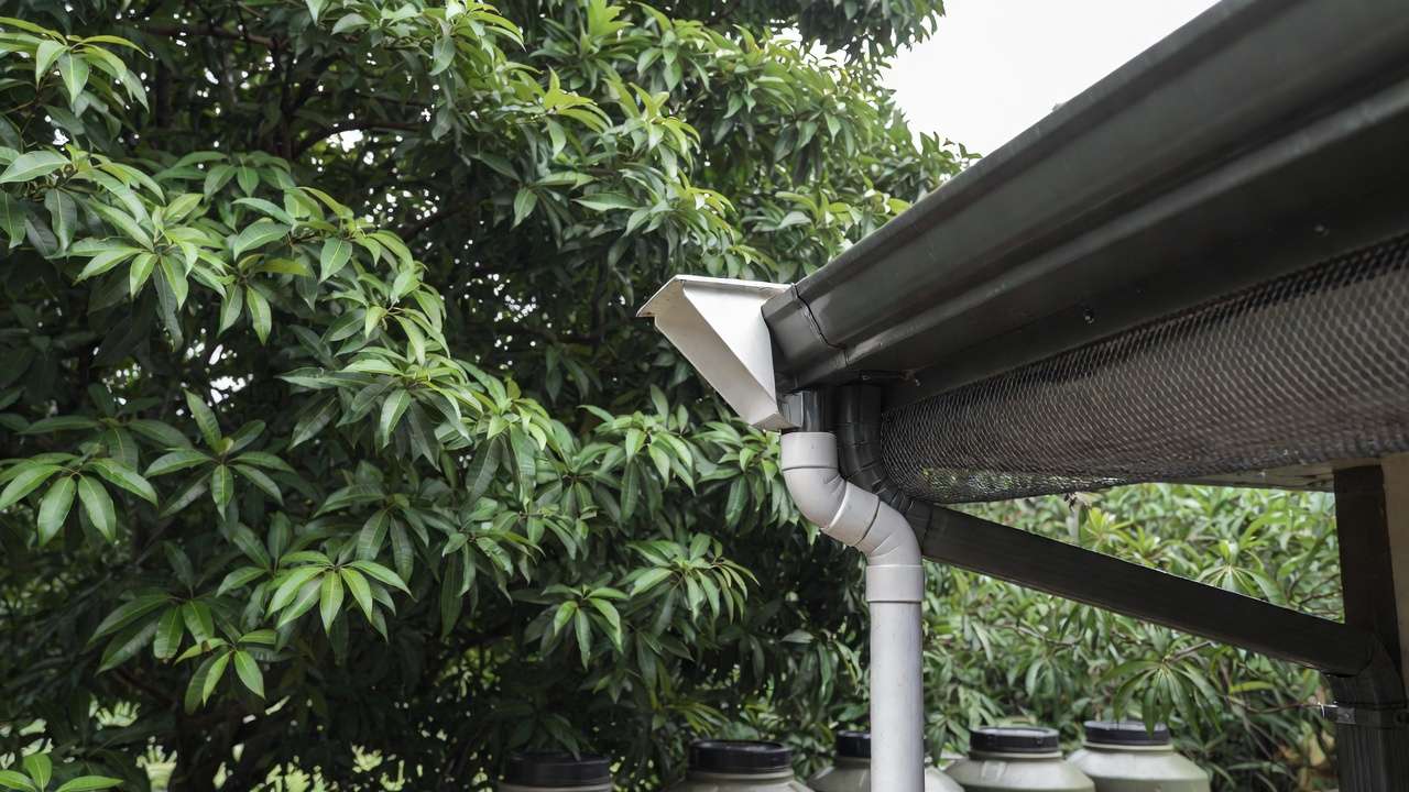 First-flush diverter and leaf screen on gutter for clean rainwater harvesting setup in home garden