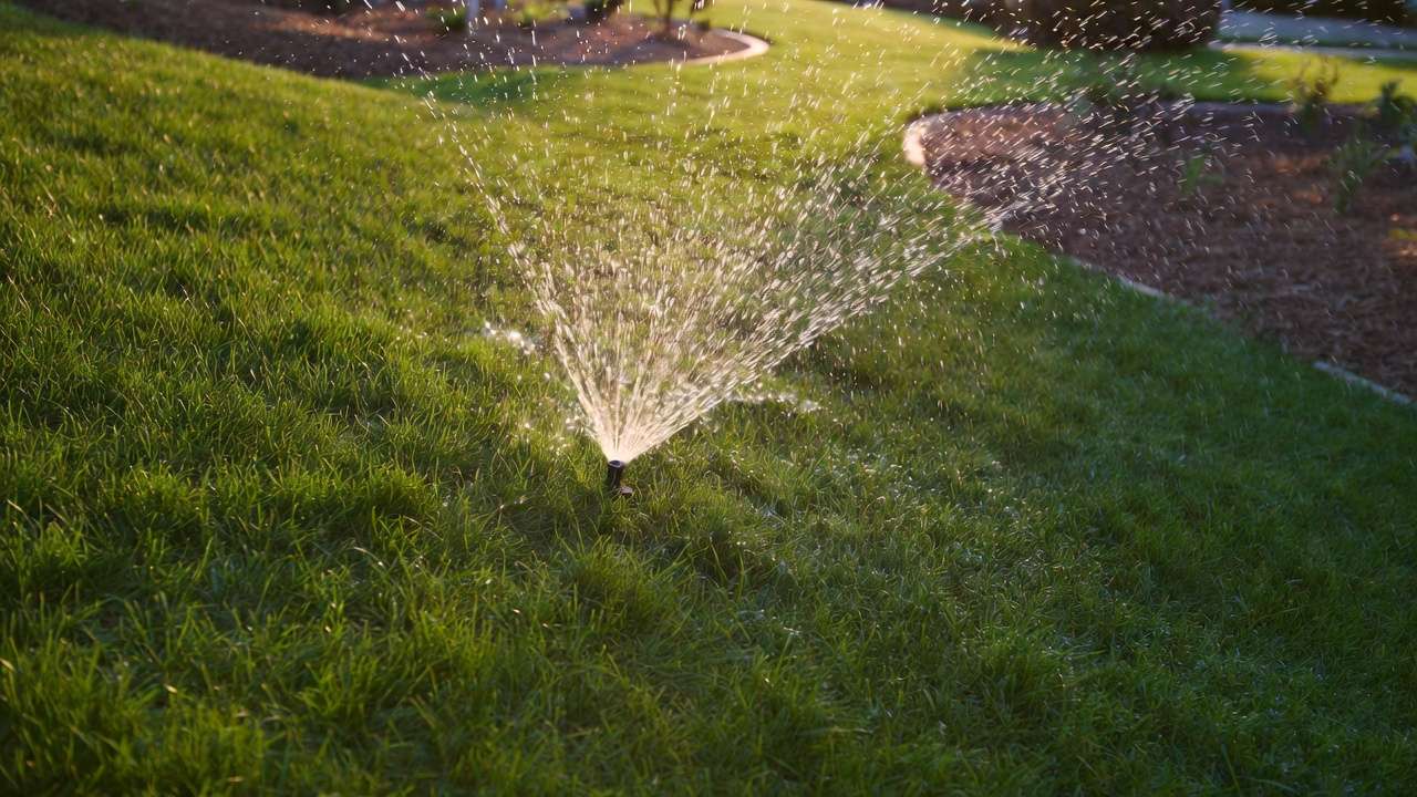 Cycle and soak sprinkler method watering lawn deeply without runoff for better absorption
