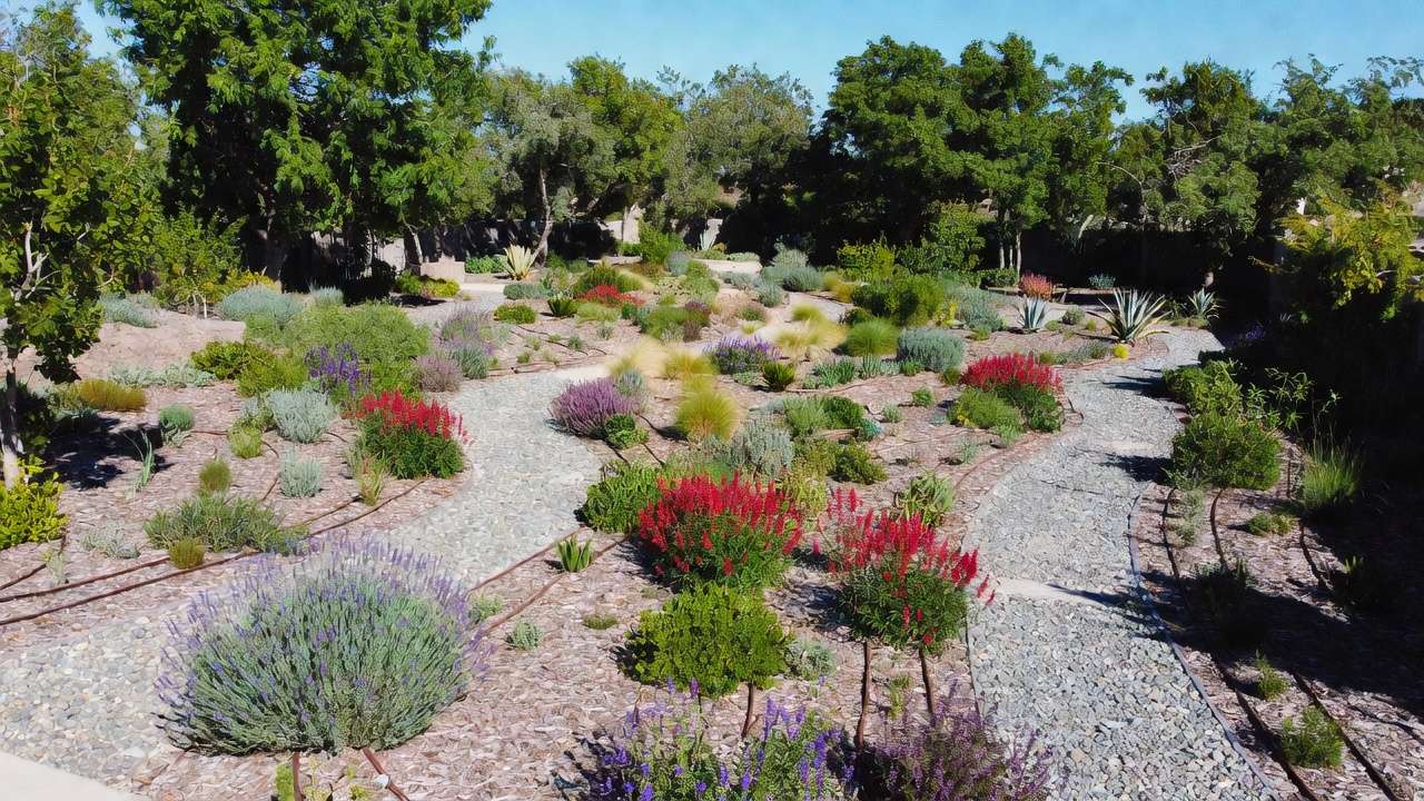 Waterwise landscape showing clear plant zoning with grouped drought-tolerant plants, drip irrigation, and mulch for efficient water use