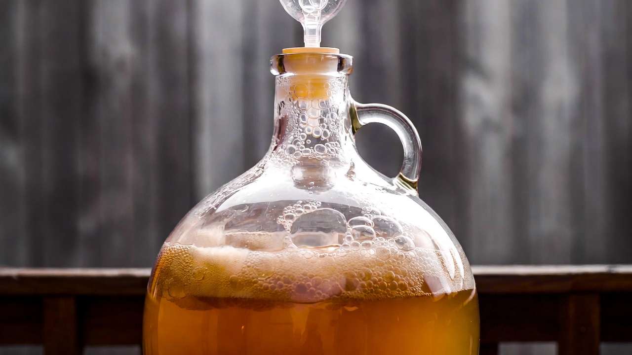 Fermenting homemade hard cider in a glass carboy with airlock during the home cider making process.