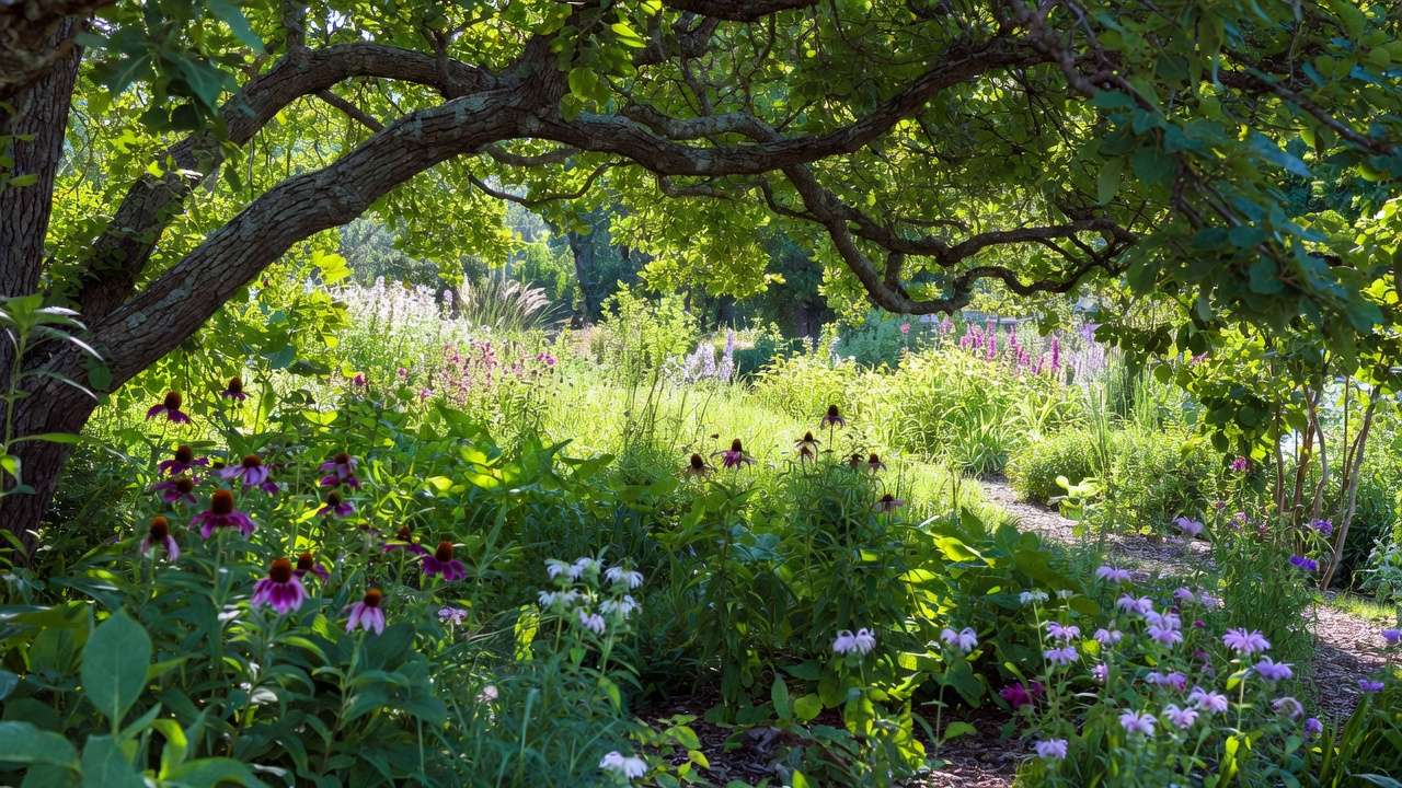 Native trees and perennials creating a low carbon footprint yard with natural carbon sequestration