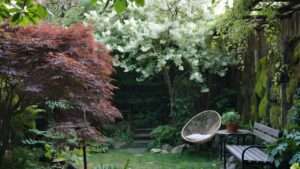 balancing aesthetics and function in small yards