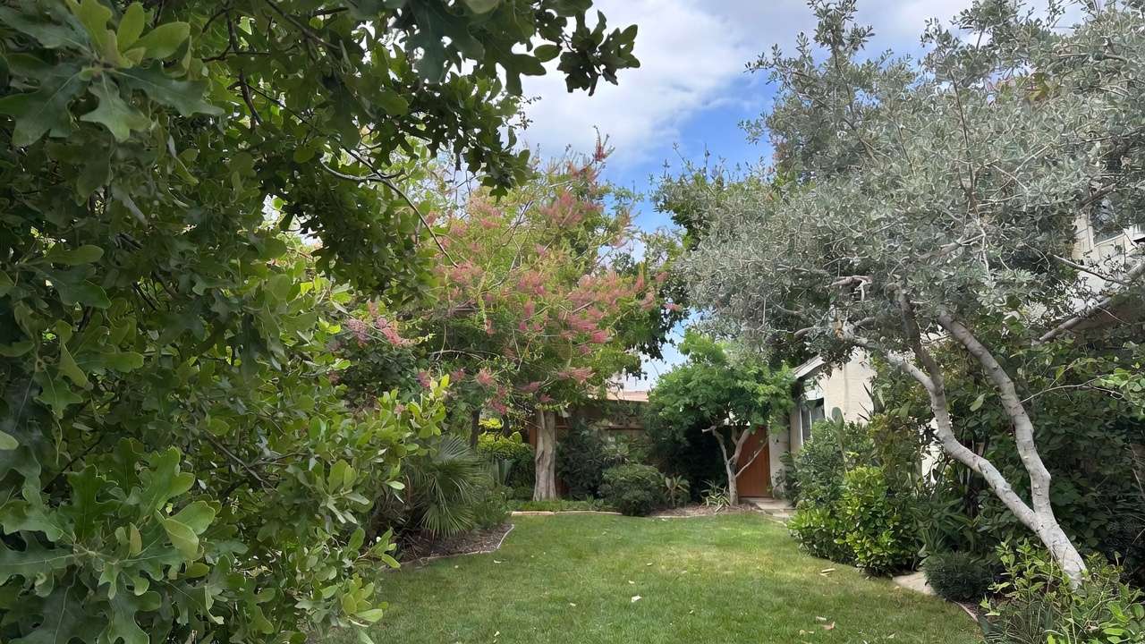Lush drought-tolerant home landscape with shade trees and xeriscape design for low-water beauty