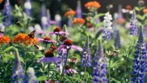 butterfly and bee-friendly garden designs