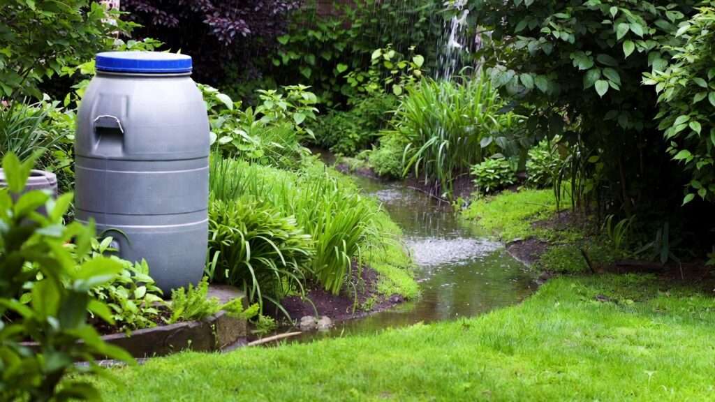 capturing run-off in small yards