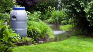 capturing run-off in small yards