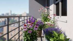 city-friendly pollinator plants