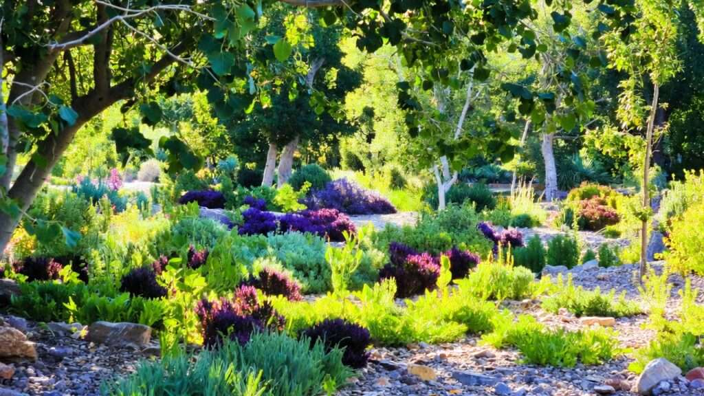 common misconceptions about xeriscaping