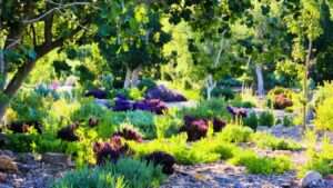 common misconceptions about xeriscaping