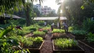 community garden plot best practices