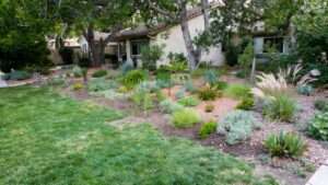 converting a traditional lawn to xeriscape