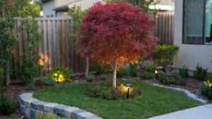 focal points in small yard landscaping