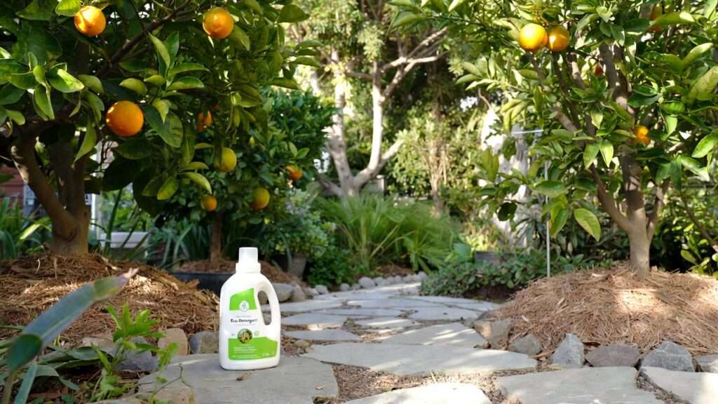 greywater-safe detergents for gardens