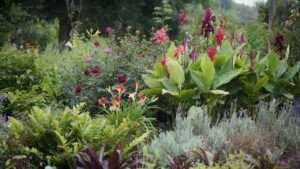 grouping plants by water needs