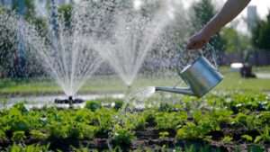hand watering vs. sprinkler efficiency