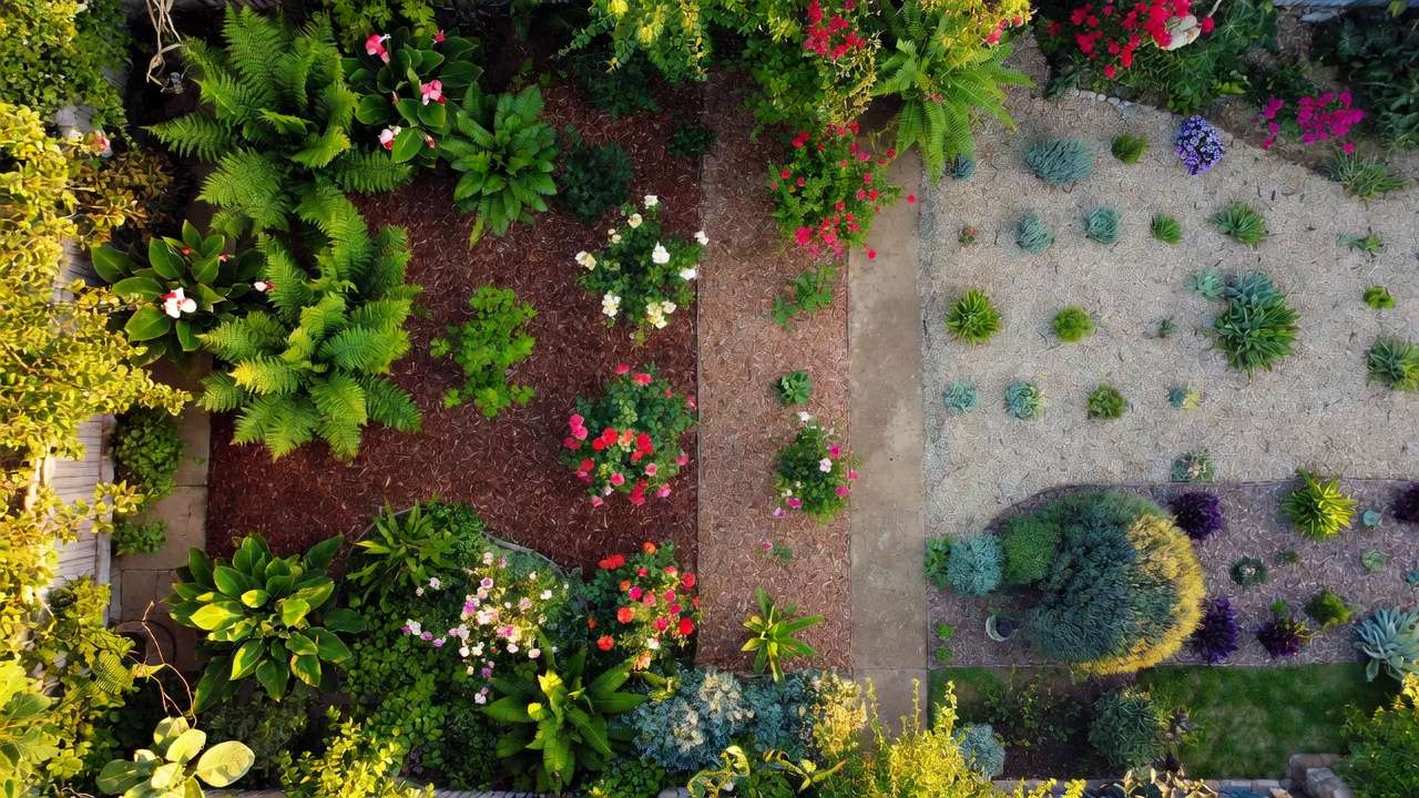 Garden divided into three hydrozones showing high, medium, and low water need plant groupings