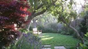 healing gardens for mental wellbeing