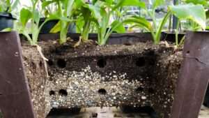 improving drainage in large planters