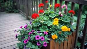 mixing annuals and perennials in containers