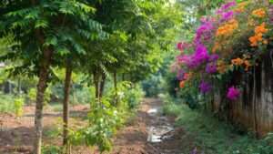 monsoon region drought-tolerant species