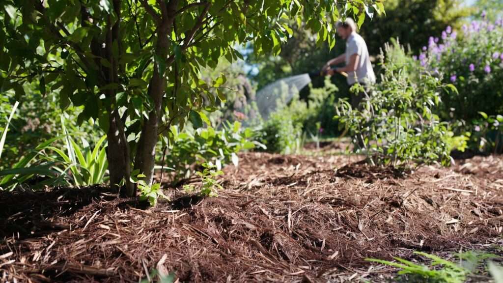 mulching strategies to conserve moisture