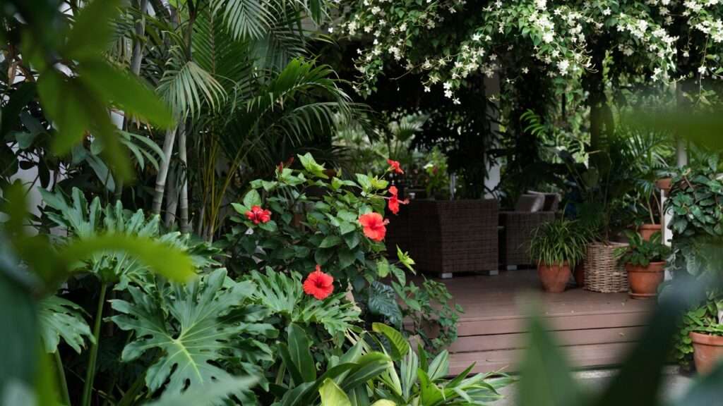 patio garden design tips