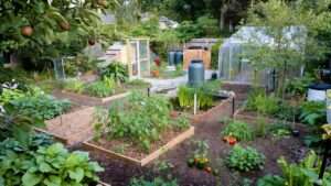 permaculture basics for home gardens