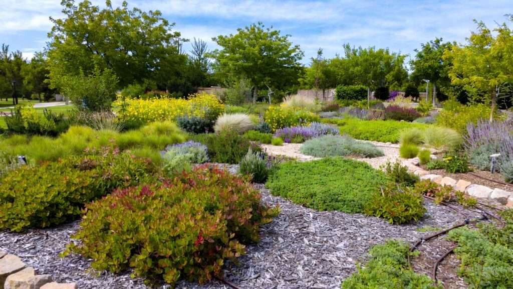 plant zoning in waterwise landscapes