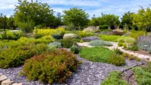 plant zoning in waterwise landscapes