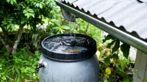 rainwater harvesting barrels 101