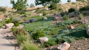 sloped yard xeriscape solutions