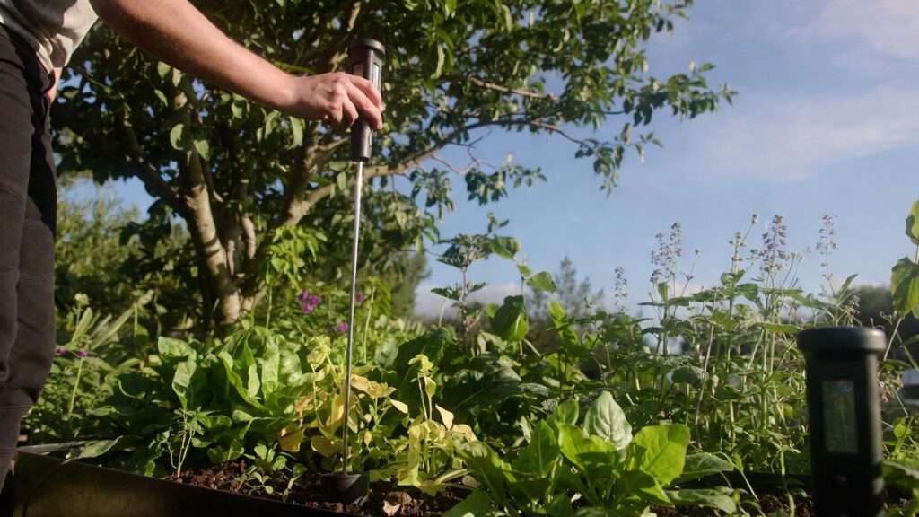 soil moisture sensors for gardens