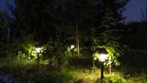 solar-powered garden lighting solutions