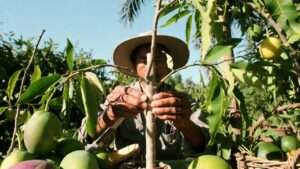 step-by-step grafting tutorial for beginners