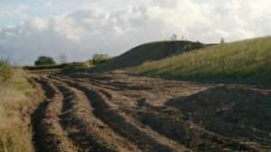 swales and berms for water management