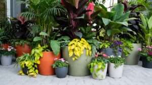 thriller, filler, spiller container design