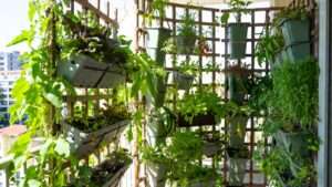 vertical container gardens with trellises
