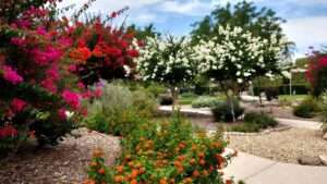 xeriscape design principles