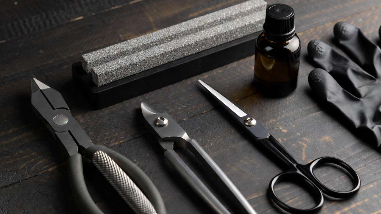 Advanced bonsai tools for beginners ready to level up: jin pliers, root shears, defoliation scissors, sharpening stone, and tool care essentials