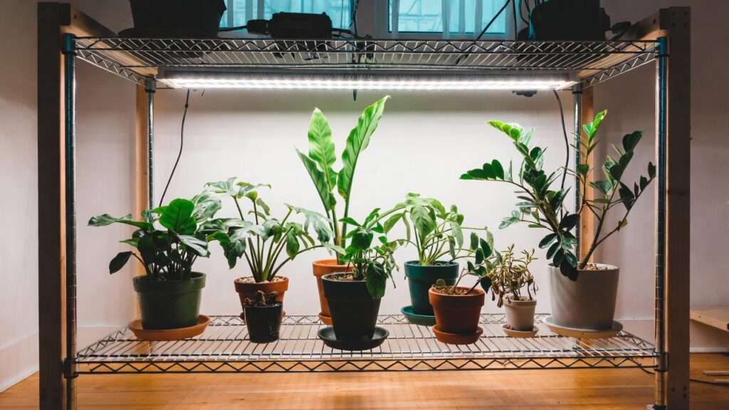 DIY plant shelf with built-in grow lights
