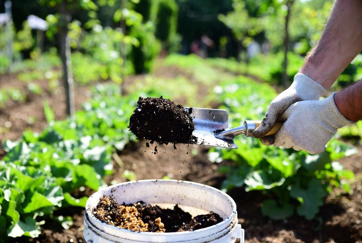 Hands collecting soil samples with trowel for home nutrient testing in garden bed