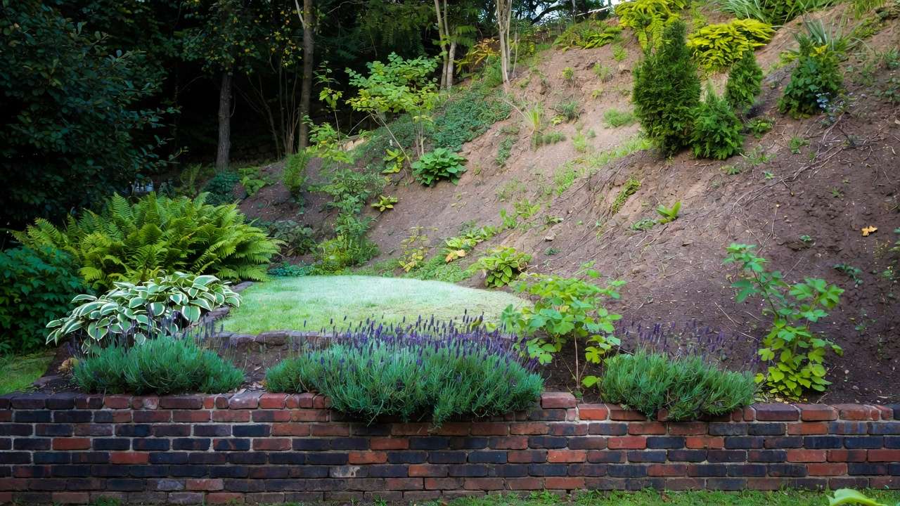 Diverse home garden showing sunlight, shade, frost pockets, wind, and drainage creating different microclimates