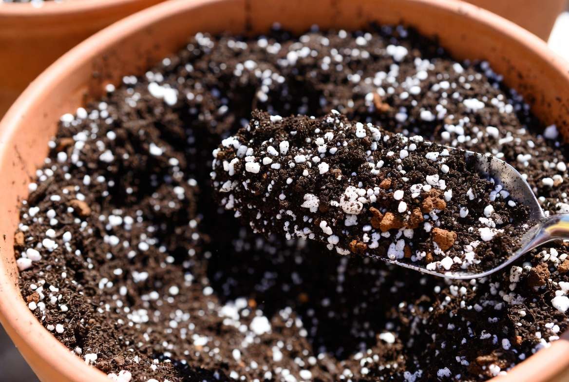 Potting mix with perlite and pumice for excellent drainage and aeration in containers