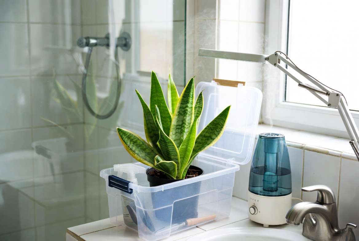 DIY quarantine setup for sick houseplants in small apartment bathroom